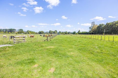 Photo of property in 78 Higginson Road, Ngahinapouri, Hamilton, 3290