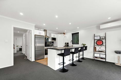 Photo of property in 117a Studholme Street, Morrinsville, 3300