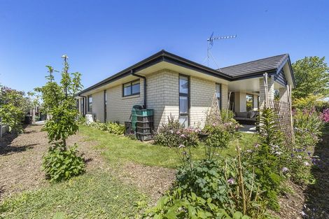 Photo of property in 21 Richardson Road, Matamata, 3400