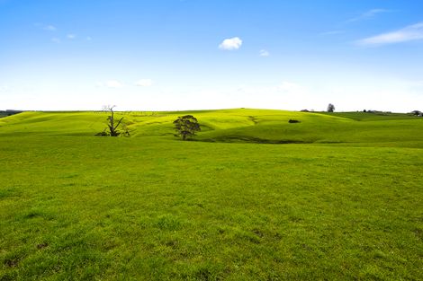 Photo of property in 191 Whangamarino Road, Whangamarino, Te Kauwhata, 3782