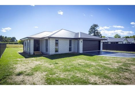 Photo of property in 77 Te Ngawai Road, Pleasant Point, 7903