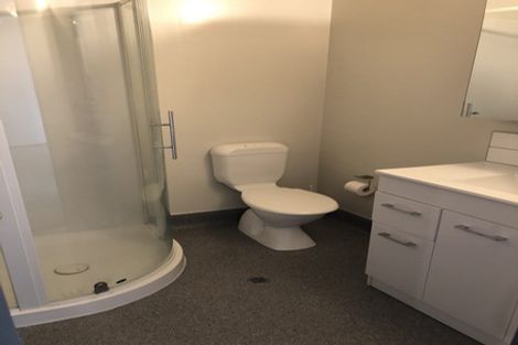 Photo of property in Dual Apartments, 301/142 Vivian Street, Te Aro, Wellington, 6011