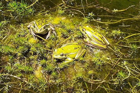 Photo of property in 41 Melville Drive, Whakatane, 3120