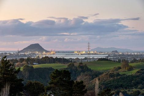 Photo of property in 393 Upper Ohauiti Road, Ohauiti, Tauranga, 3173