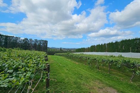 Photo of property in 387 Kerikeri Road, Kerikeri, 0230