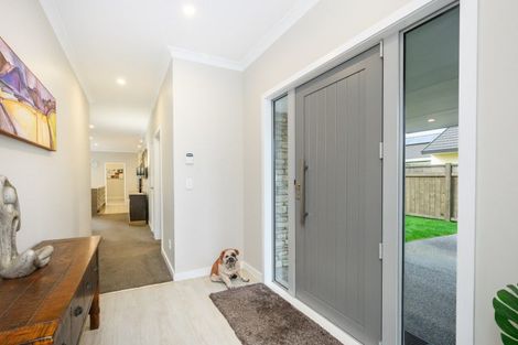 Photo of property in 5 Heritage Place, Terrace End, Palmerston North, 4410