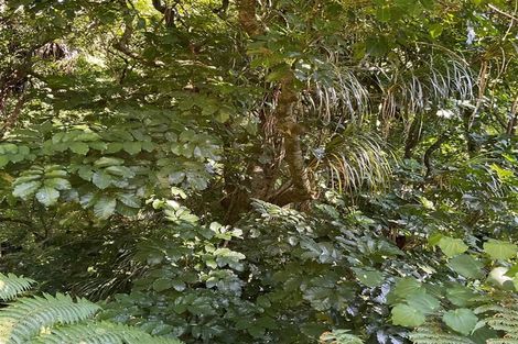 Photo of property in 14 Kereru Place, Upper Vogeltown, New Plymouth, 4310