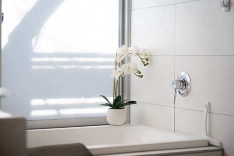 Photo of property in 1b Manley Terrace, Newtown, Wellington, 6021