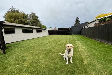 Photo of property in 53 Ashgrove Street, Rangiora, 7400