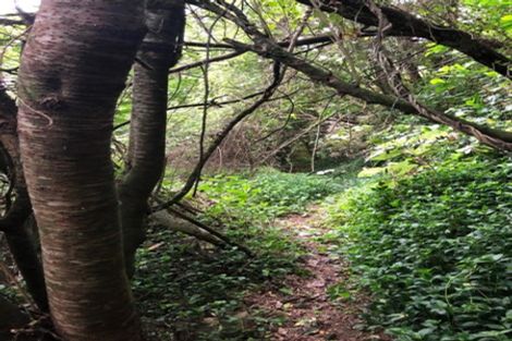 Photo of property in 14 Karachi Crescent, Khandallah, Wellington, 6035