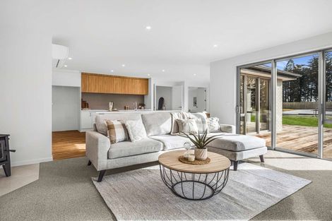 Photo of property in 24 Memorial Crescent, Methven, 7730