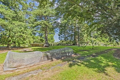 Photo of property in 428 Kowai Road, Springfield, 7681