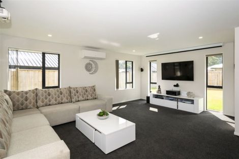 Photo of property in 46 Grigg Drive, Witherlea, Blenheim, 7201