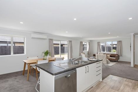 Photo of property in 38 Karere Avenue, Marshland, Christchurch, 8083