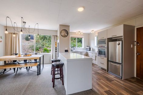 Photo of property in 33 Elliffe Place, Shiel Hill, Dunedin, 9013