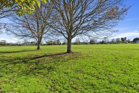 Photo of property in 12 Gallery Grove, Flagstaff, Hamilton, 3210