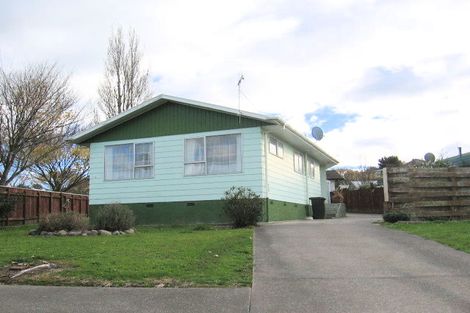 Photo of property in 124 Lethbridge Street, Feilding, 4702