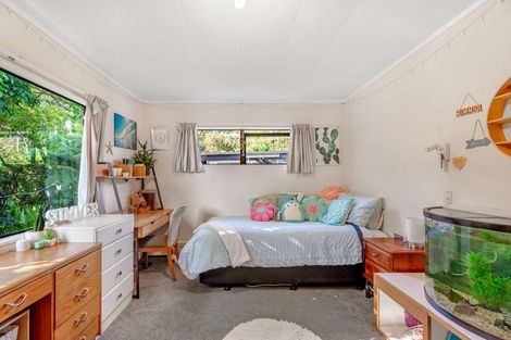 Photo of property in 23 Punga Place, Whitianga, 3510