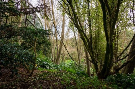 Photo of property in 5d Woodcock Road, Tamahere, Hamilton, 3283