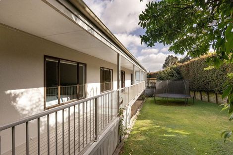 Photo of property in 1215 Cameron Road, Gate Pa, Tauranga, 3112