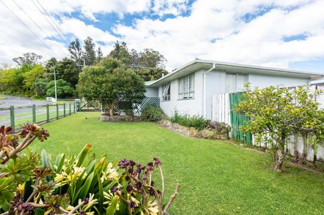 Photo of property in 119 De Lautour Road, Inner Kaiti, Gisborne, 4010