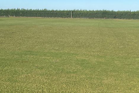 Photo of property in 25d Plover Avenue, Amberley, 7410