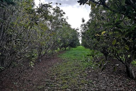 Photo of property in 64 De Boer Lane, Mangawhai, Kaiwaka, 0573