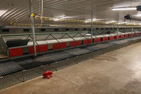 Photo of property in 116 Ngatimaru Road, Tikorangi, Waitara, 4383