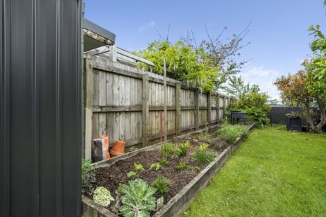 Photo of property in 10 Seaforth Grove, Greerton, Tauranga, 3112