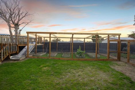 Photo of property in 17 Winchester Street, Awapuni, Palmerston North, 4412