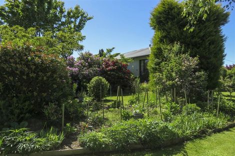 Photo of property in 56 Clark Road, Omaui, Invercargill, 9877