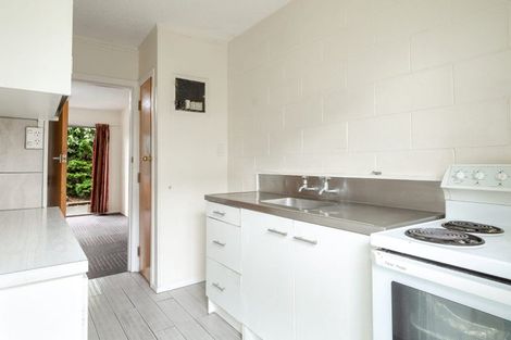 Photo of property in 289 Ulster Street, Whitiora, Hamilton, 3200