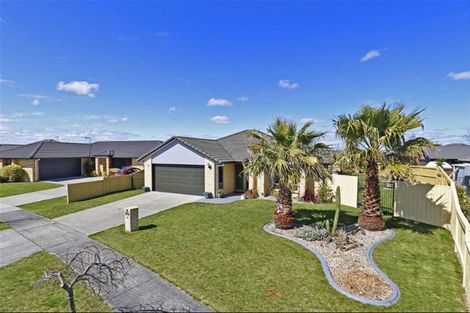 Photo of property in 38 Winchester Place, Rototuna North, Hamilton, 3210