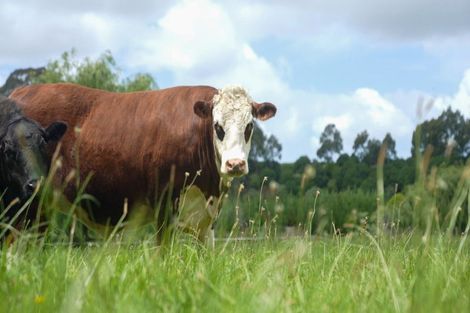 Photo of property in 56e Te Puna Road, Te Puna, Tauranga, 3174