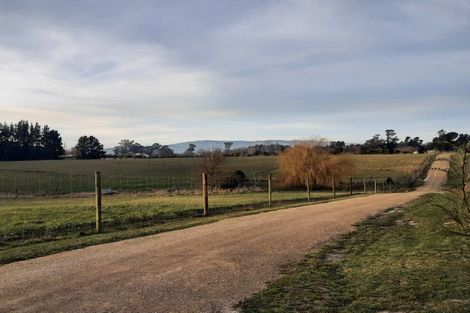 Photo of property in 229 Balcairn Amberley Road, Balcairn, Amberley, 7481