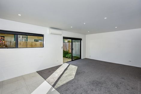 Photo of property in 24b Parlane Street, Addington, Christchurch, 8024