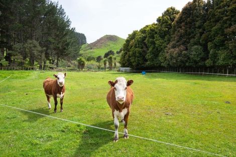 Photo of property in 653 Hakarimata Road, Ngaruawahia, Huntly, 3771
