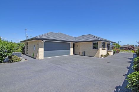 Photo of property in 17 Forget-me-not Lane, Richmond, 7020