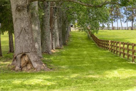 Photo of property in 713 Ararimu Valley Road, Helensville, 0882