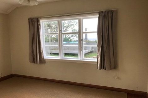 Photo of property in 160 The Ridgeway, Mornington, Wellington, 6021