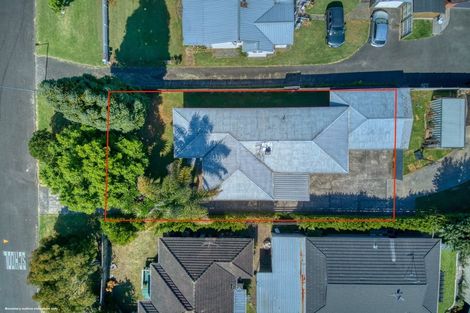 Photo of property in 19 Burrows Street, Tauranga South, Tauranga, 3112