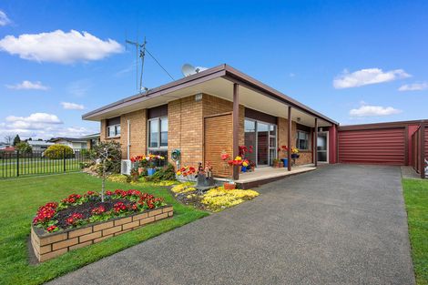 Photo of property in 11 David Street, Morrinsville, 3300