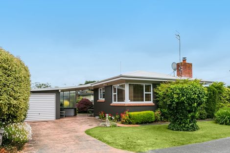 Photo of property in 28 Campbell Street, Havelock North, 4130