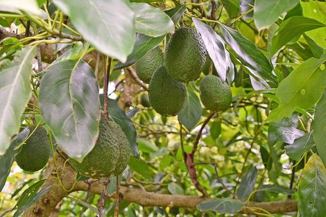 Photo of property in 1 Journeys End, Tapora, Wellsford, 0977