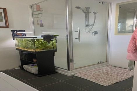 Photo of property in 15 Piako Road, Claudelands, Hamilton, 3214