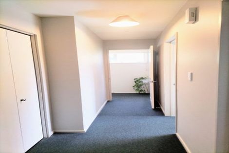 Photo of property in 45b Lees Street, Dunedin Central, Dunedin, 9016