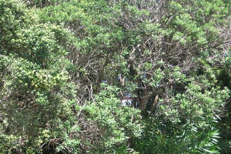 Photo of property in 72 Churchill Road, Murrays Bay, Auckland, 0630