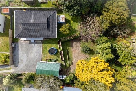 Photo of property in 24 Bruce Avenue, Glenview, Hamilton, 3206