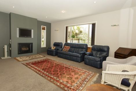 Photo of property in 19 Ludlow Drive, Huntingdon, Ashburton, 7774