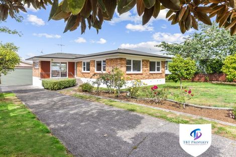 Photo of property in 19 Richardson Avenue, Pukekohe, 2120